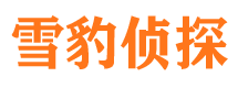 端州市侦探公司